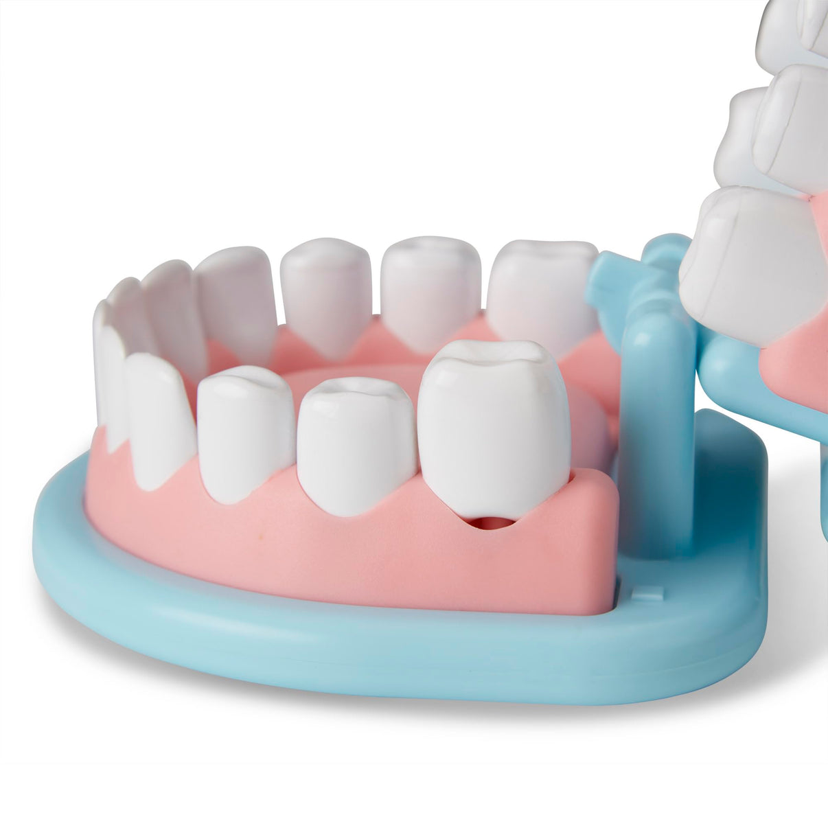 Kids Dentist Play Set With Oversized Teeth-Toys Galore