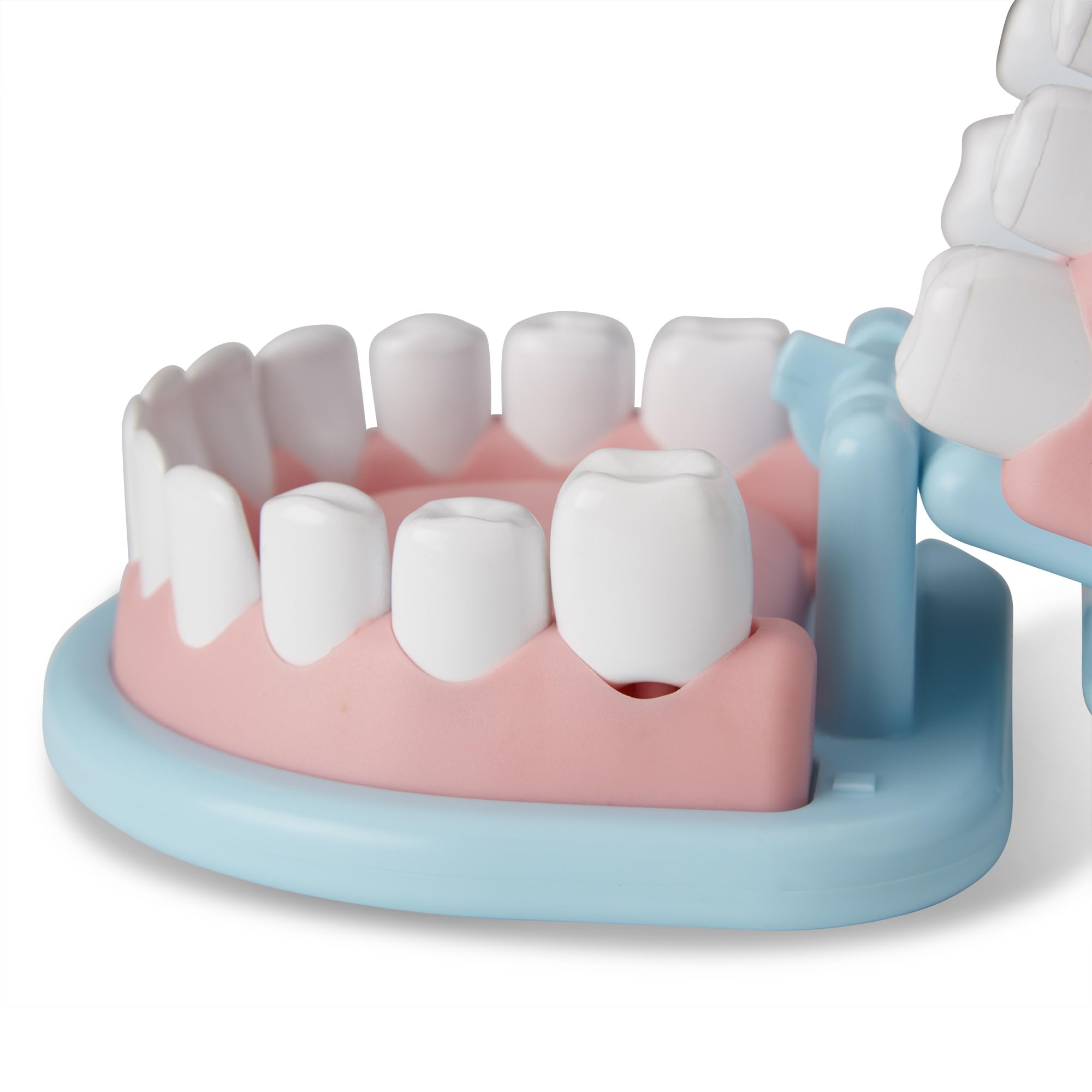 Kids Dentist Play Set With Oversized Teeth-Toys Galore